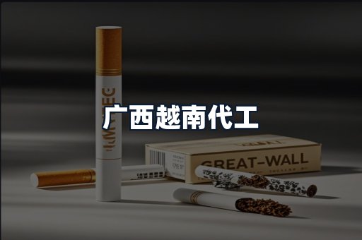 广西越南代工